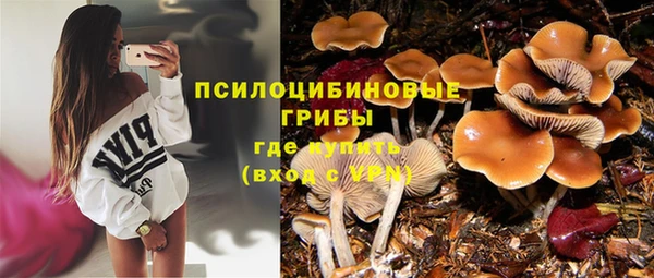 экстази Баксан